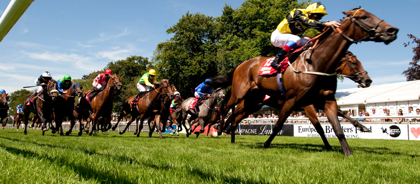 Забег на Newmarket - Великобритания. Прогноз Юрия Крюкова Забег на Newmarket - Великобритания. Прогноз Юрия Крюкова