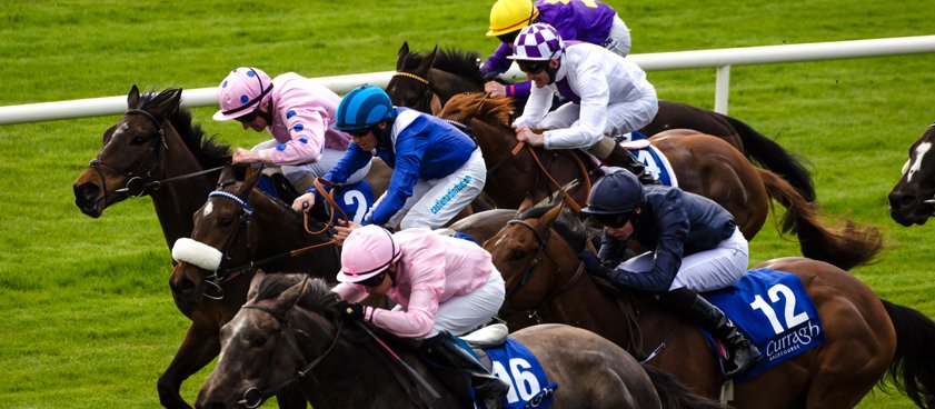 Забег на Chelmsford City - Великобритания. Прогноз от Юрия Крюкова