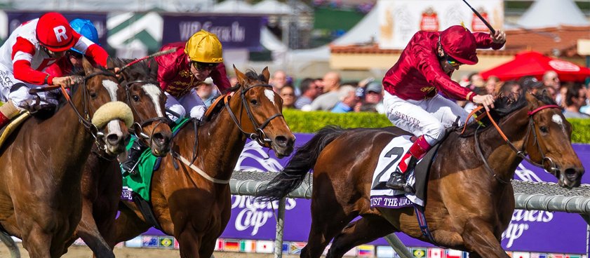 Забег на Windsor - Великобритания. Прогноз от Юрия Крюкова