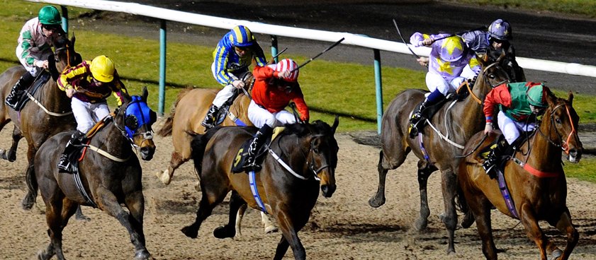 Забег на Sedgefield - Великобритания. Прогноз от Юрия Крюкова