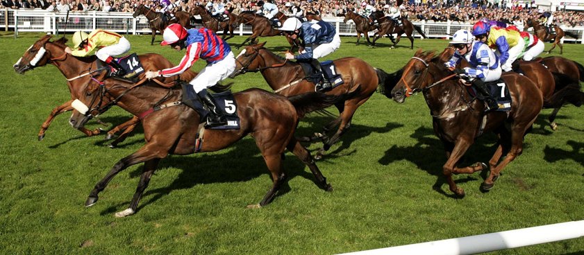 Забег на Ayr  - Великобритания. Прогноз гандикапера Юрия Крюкова Забег на Ayr  - Великобритания. Прогноз гандикапера Юрия Крюкова