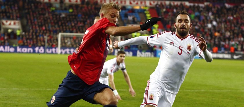 Сборная Венгрии - сборная Норвегии. Прогноз Олега Жукова Сборная Венгрии - сборная Норвегии. Прогноз Олега Жукова