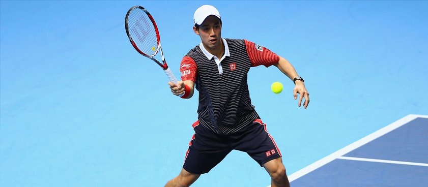 Теннис. Томаш Бердых – Кей Нисикори. Прогноз Павла Кириченко