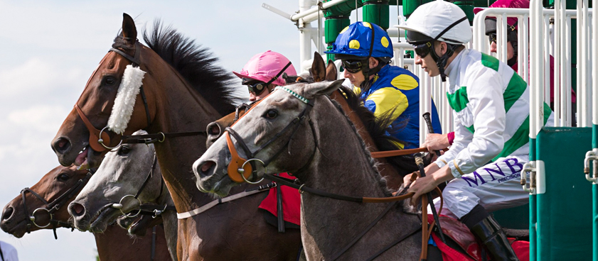 Забег на Sandown (18:40 CET) - Великобритания. Прогноз Юрия Крюкова Забег на Sandown (18:40 CET) - Великобритания. Прогноз Юрия Крюкова
